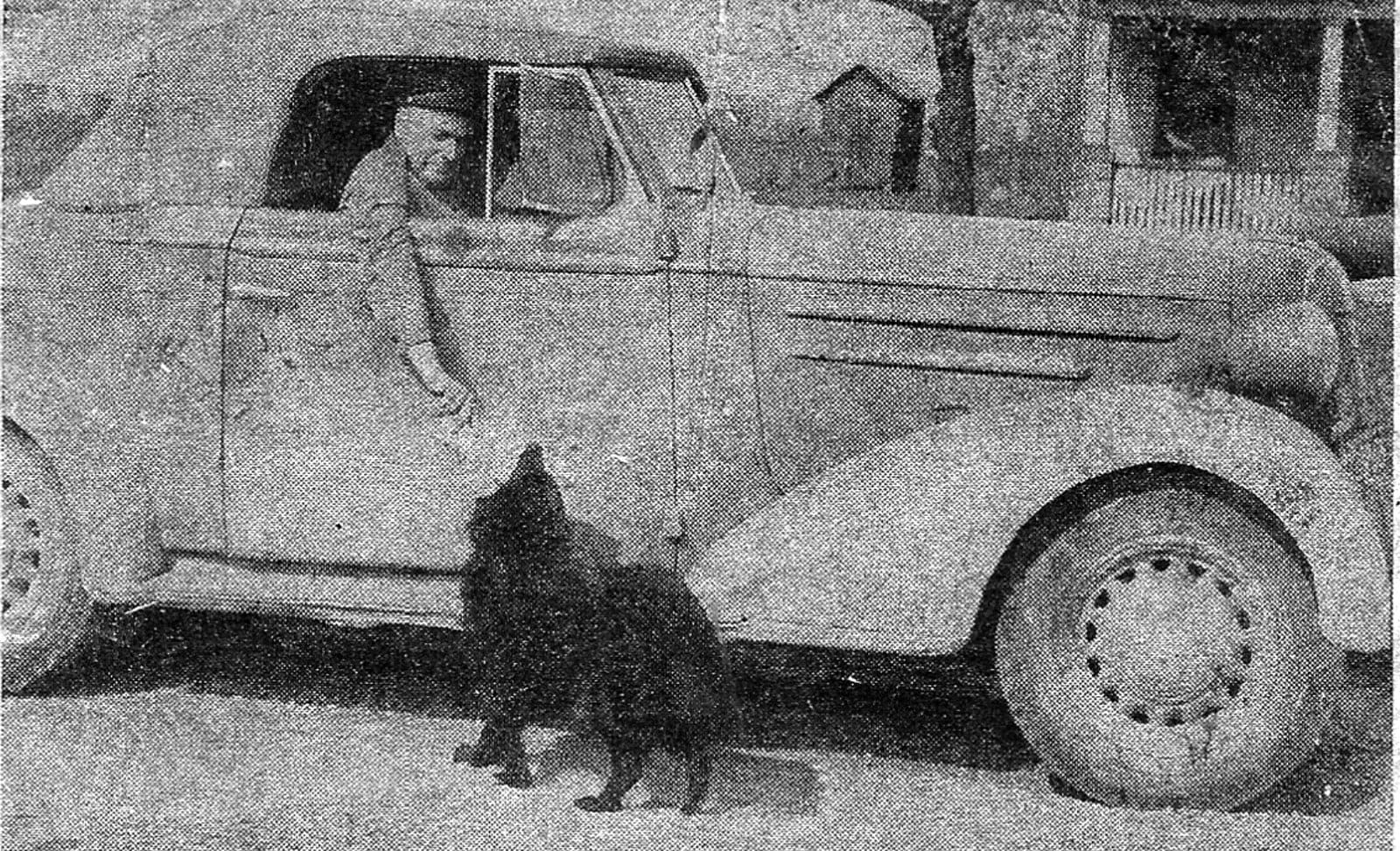 A rural mail carrier leans from his car door to hand a newspaper to a dog waiting on the road.